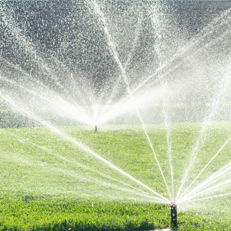Irrigation in Winter Park, FL